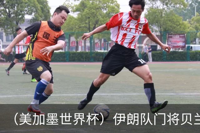 （美加墨世界杯）伊朗队门将贝兰万德的“满分”